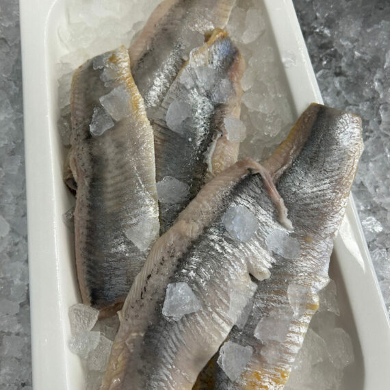 Saltsillfilé