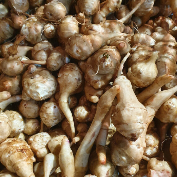 Jordärtskockor 15kg