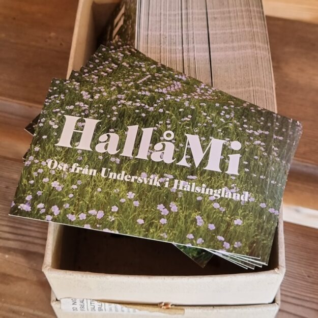 Hallå Mi