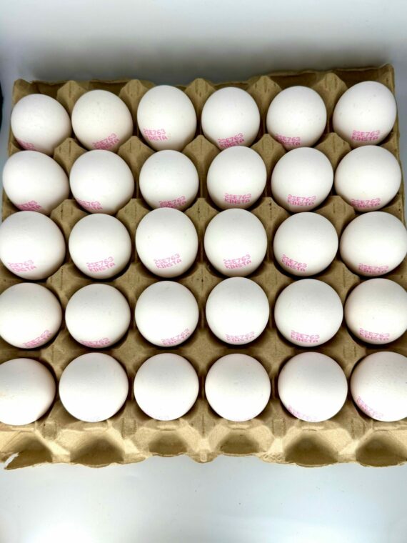 Ägg 30-pack standard