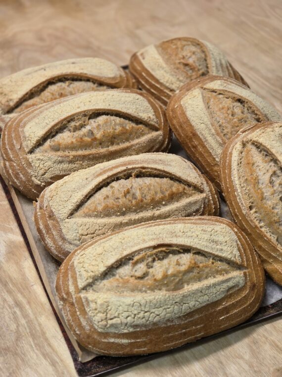 Levain - Linbageriets Bake Off