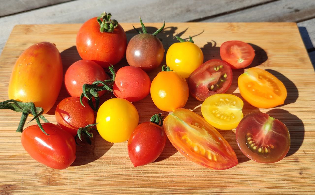 Tomatmix