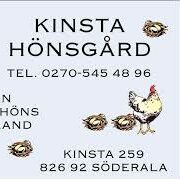 Store secondary logo