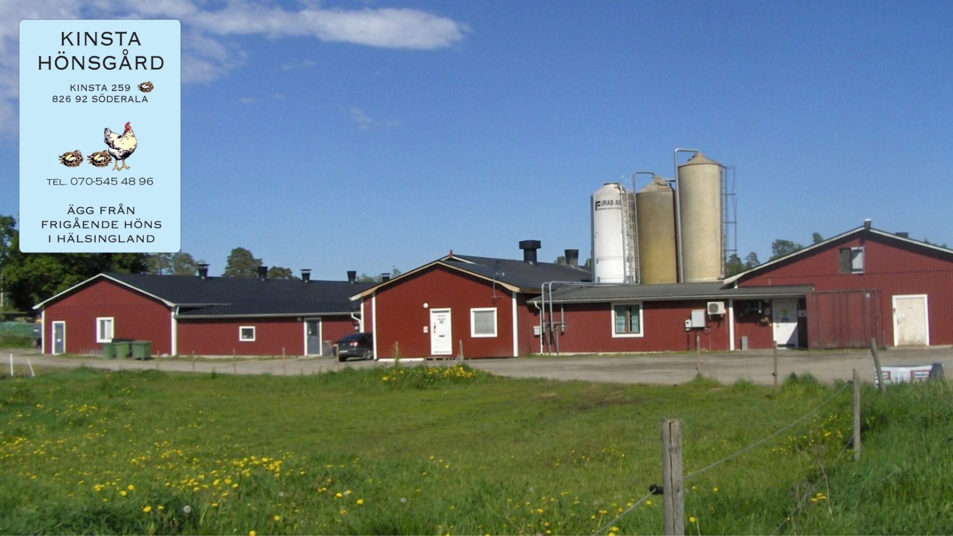 Kinsta Hönsgård