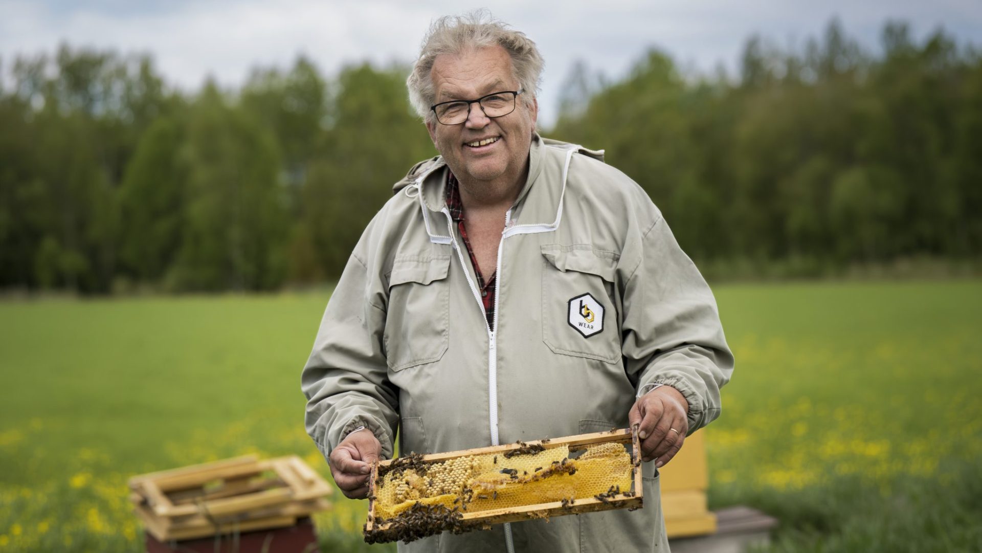 Mårdängs